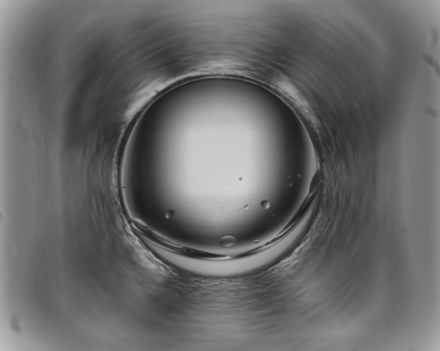 X0000098031336200803281400