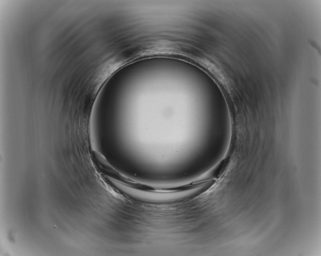 X0000098031337200803281400