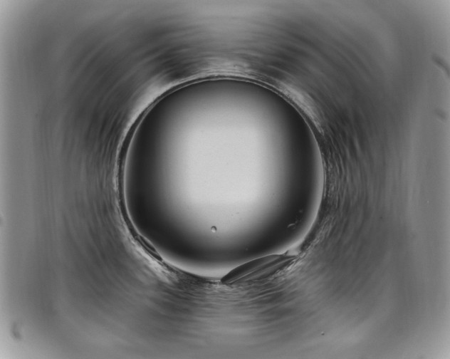 X0000098031339200803281400
