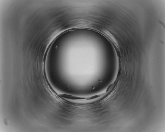 X0000098031340200803281400