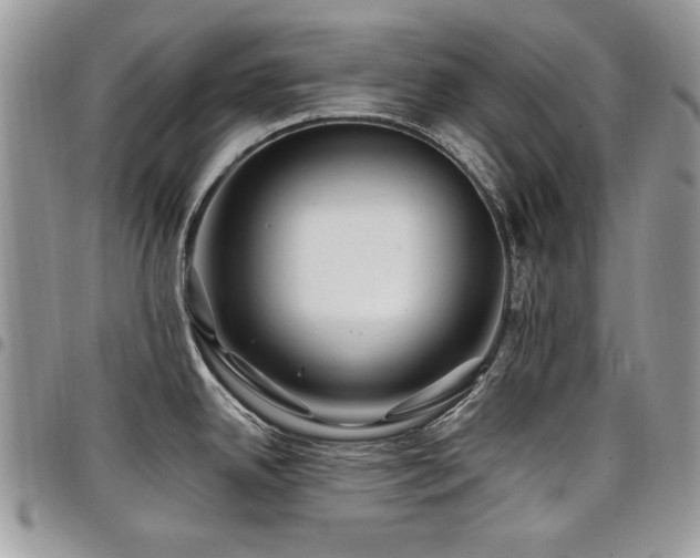 X0000098031342200803281400