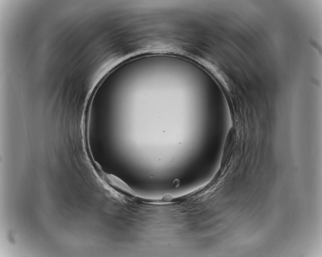 X0000098031343200803281400