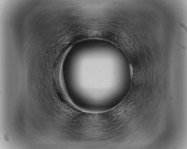 X0000098031345200803281359
