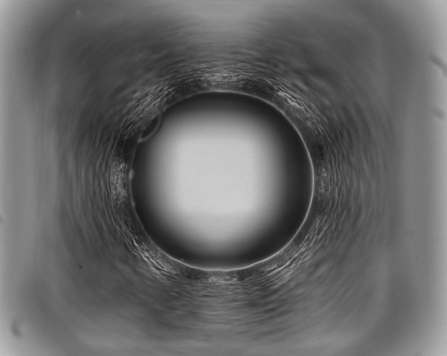 X0000098031346200803281359