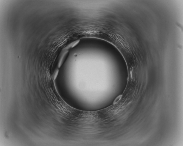 X0000098031347200803281359