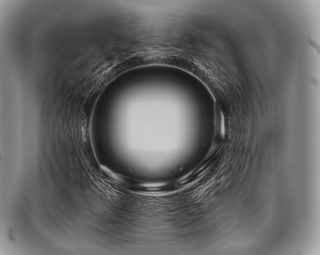 X0000098031348200803281359