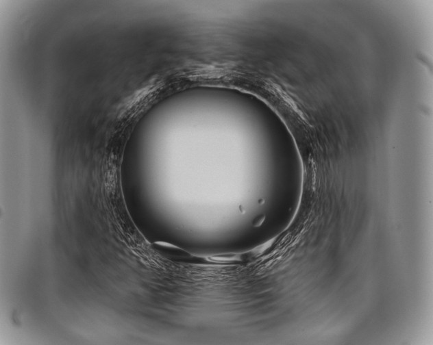 X0000098031350200803281359