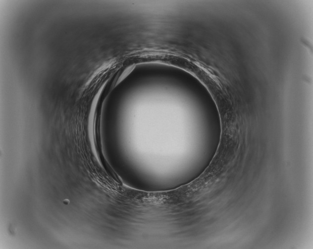 X0000098031351200803281359