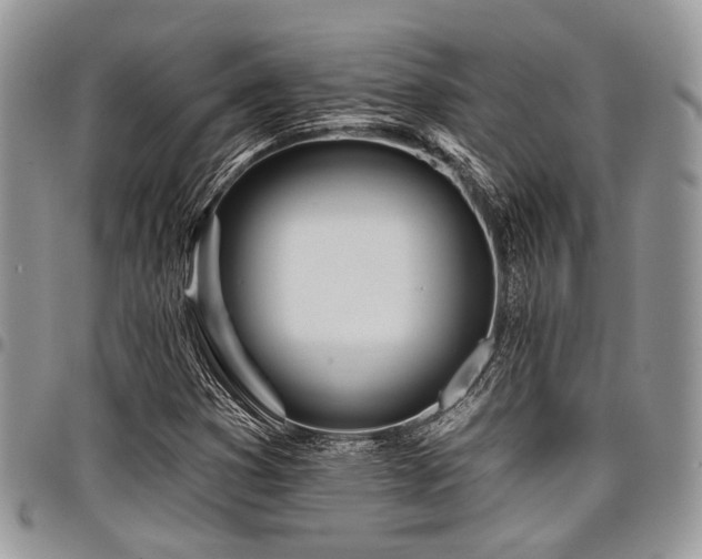 X0000098031353200803281359