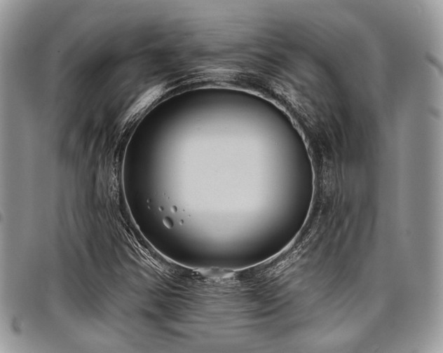 X0000098031354200803281359
