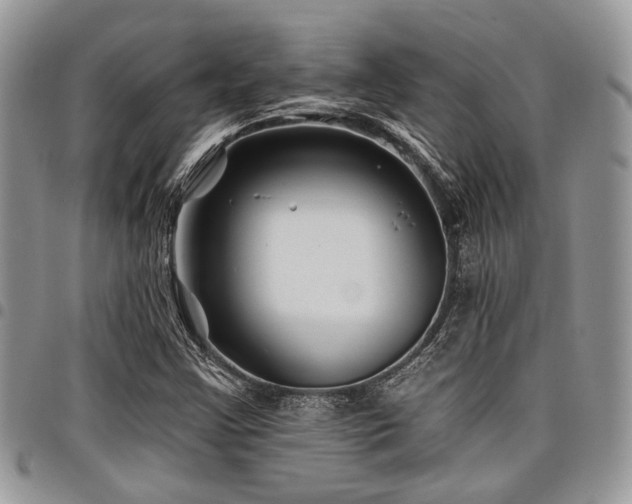 X0000098031355200803281359