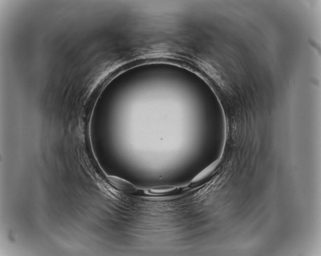 X0000098031356200803281359