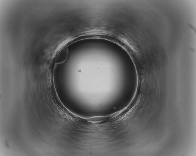 X0000098031358200803281359