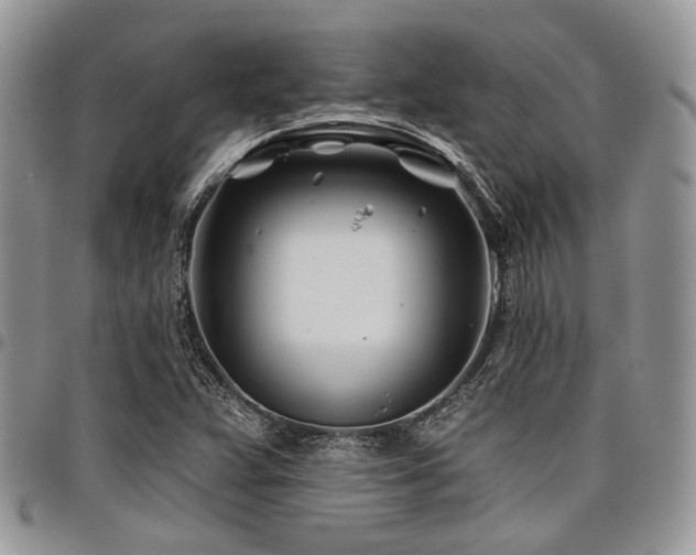X0000098031359200803281359
