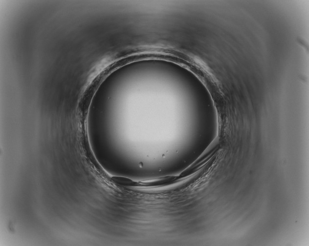 X0000098031360200803281359