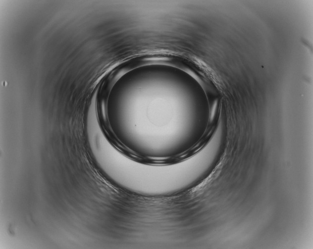 X0000098031361200803281359
