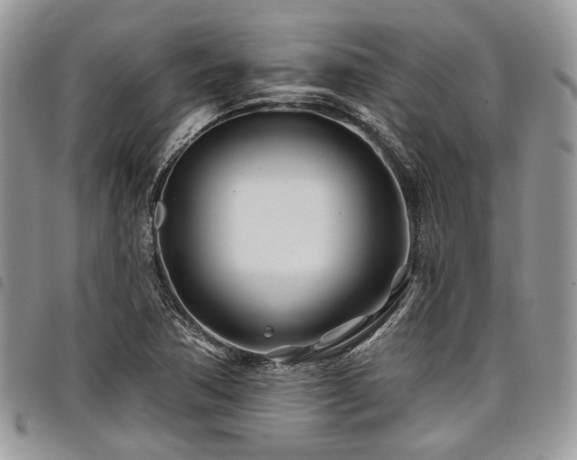 X0000098031362200803281359