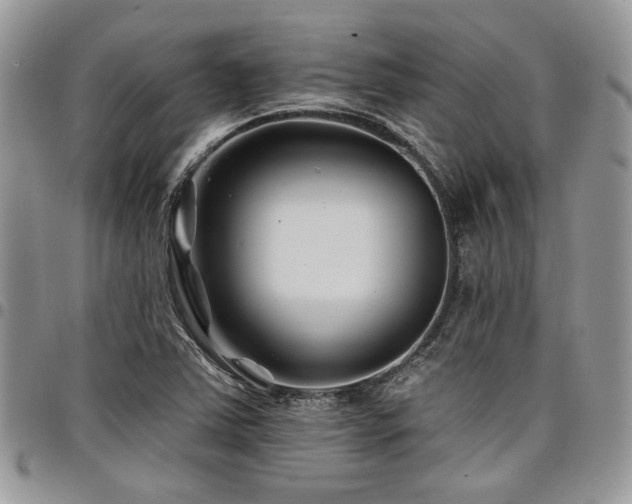 X0000098031363200803281359