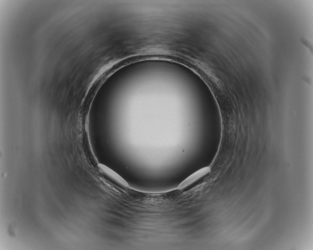 X0000098031364200803281359