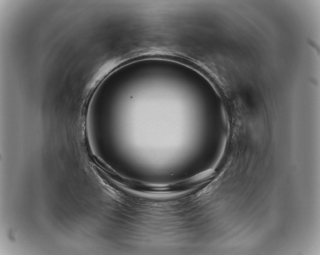 X0000098031367200803281359
