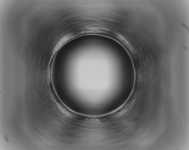 X0000098031370200803281359