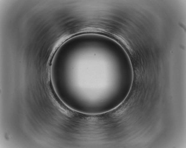 X0000098031371200803281359
