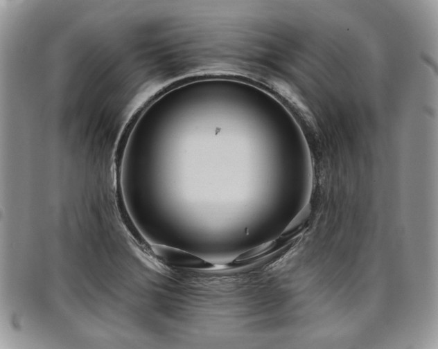 X0000098031372200803281359