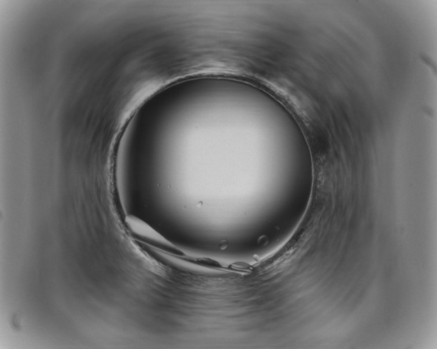 X0000098031375200803281359