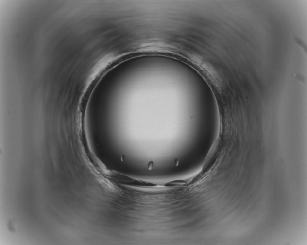 X0000098031376200803281359