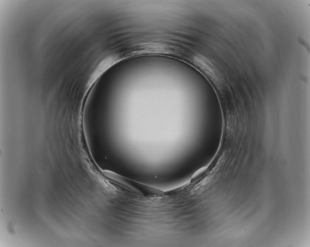 X0000098031378200803281359