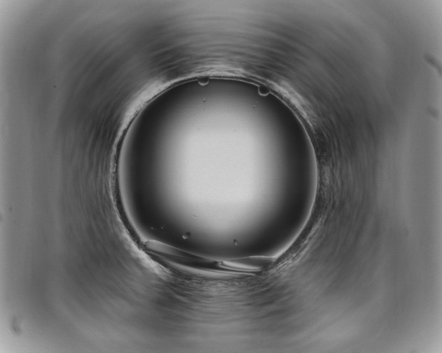 X0000098031379200803281359