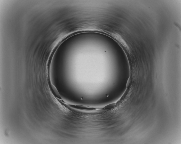 X0000098031380200803281359