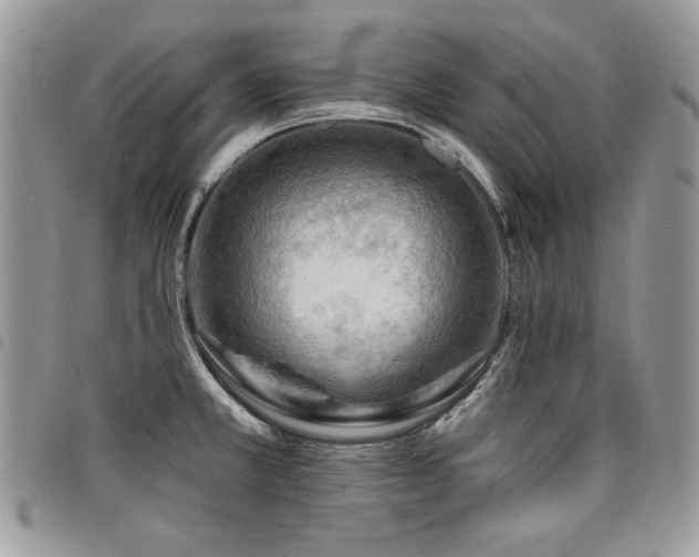 X0000098031381200803281359