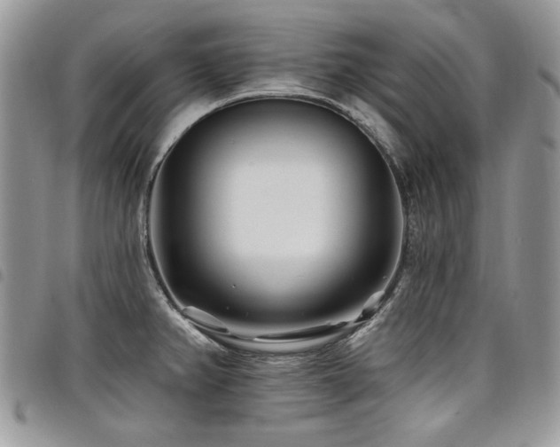 X0000098031382200803281359