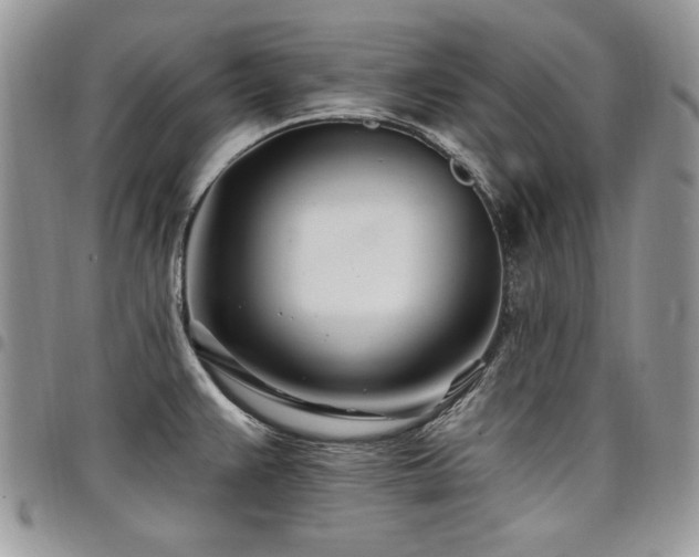 X0000098031383200803281359