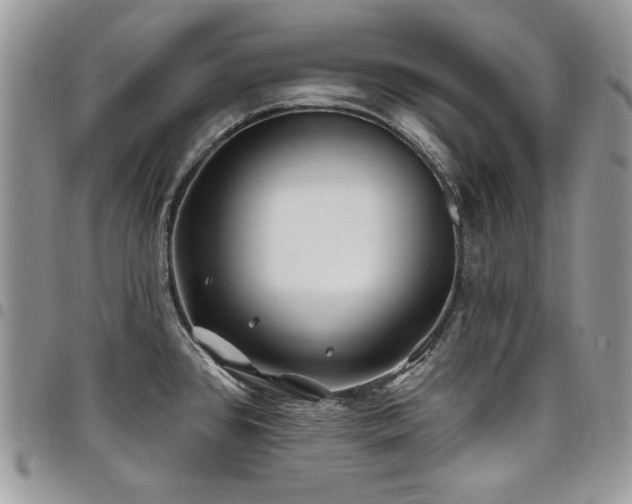 X0000098031384200803281359