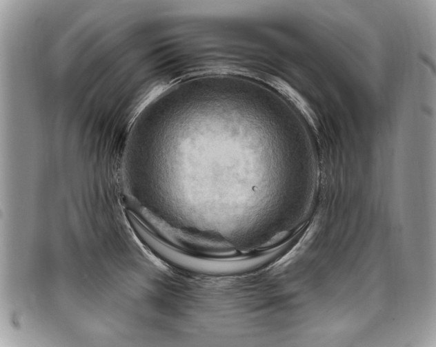 X0000098031385200803281359