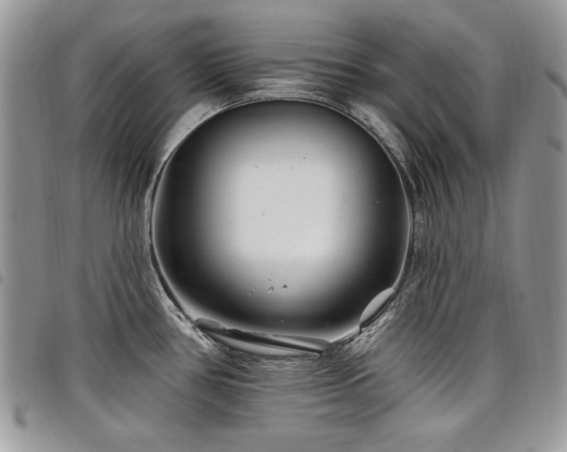 X0000098031386200803281359