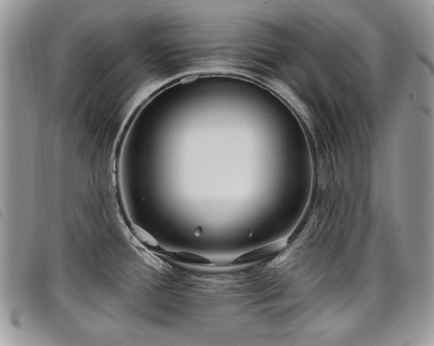 X0000098031388200803281359