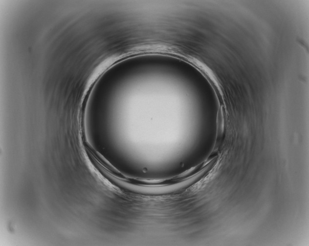 X0000098031389200803281359