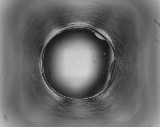 X0000098031391200803281359