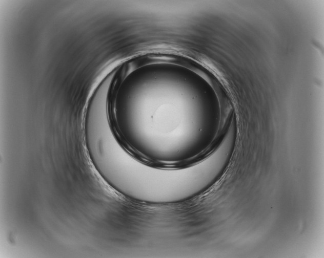 X0000098031392200803281359