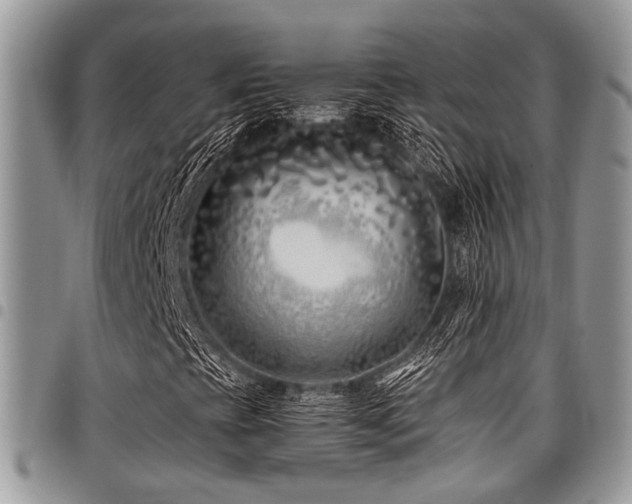 X0000098031393200803281358