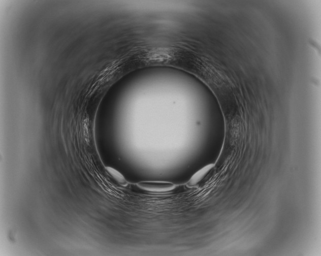 X0000098031394200803281358