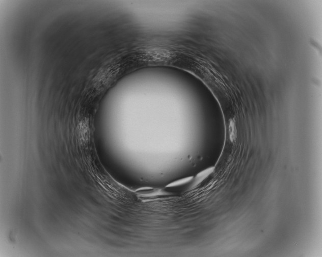X0000098031395200803281358