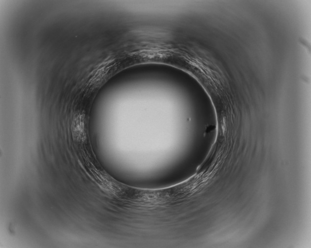 X0000098031396200803281358