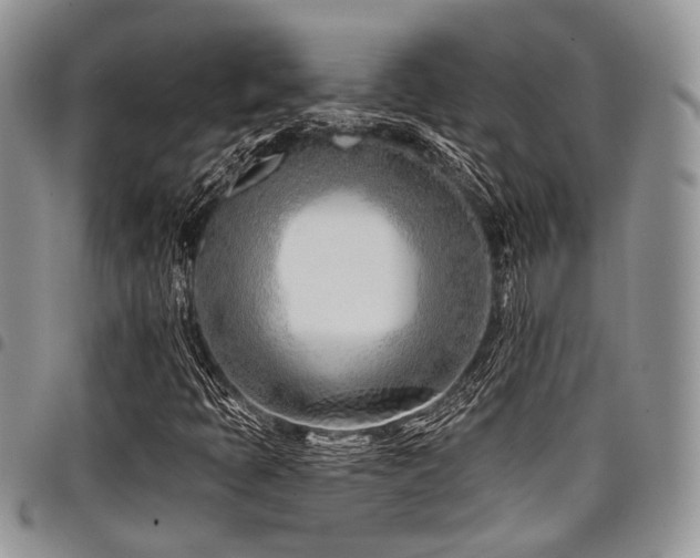X0000098031397200803281358