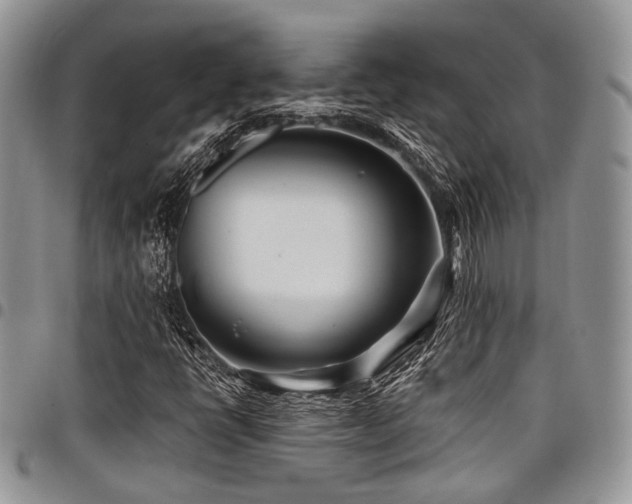 X0000098031398200803281358