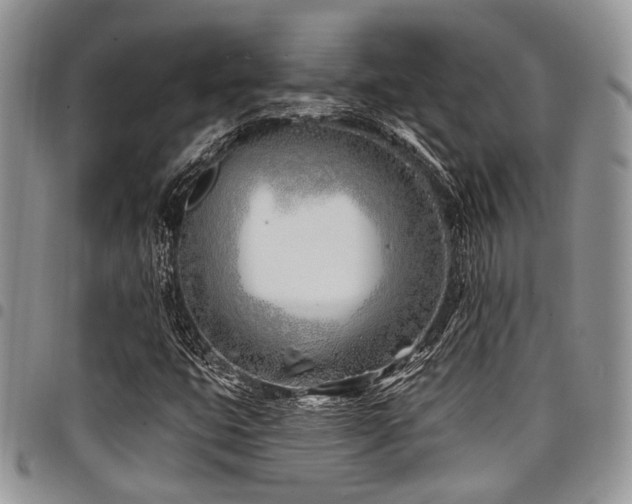 X0000098031399200803281358