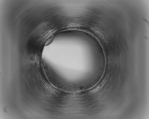 X0000098031401200803281358